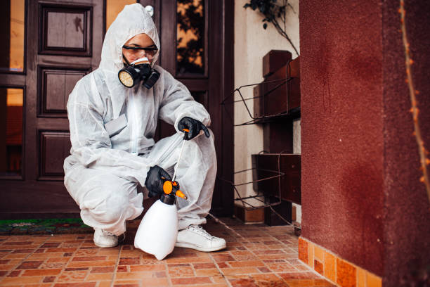 Reliable Wasp Removal contractor in Lakehurst, NJ by Show Me Pest Control